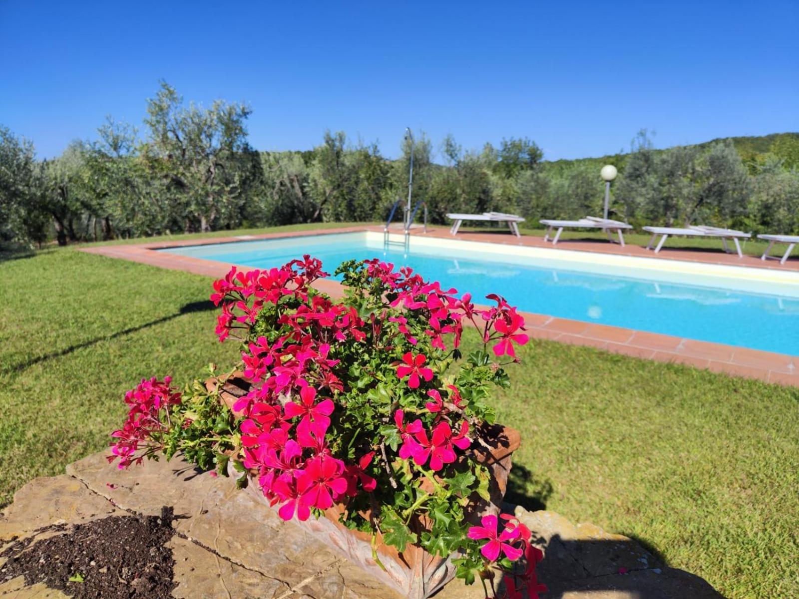 Agriturismo Sommassa Greve in Chianti Exterior foto